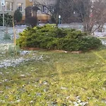 Apartament Torun Dreams