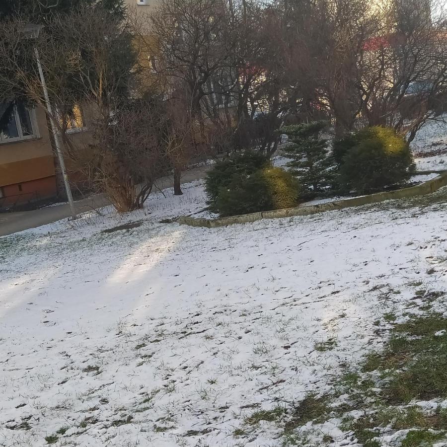 Dreams Torun