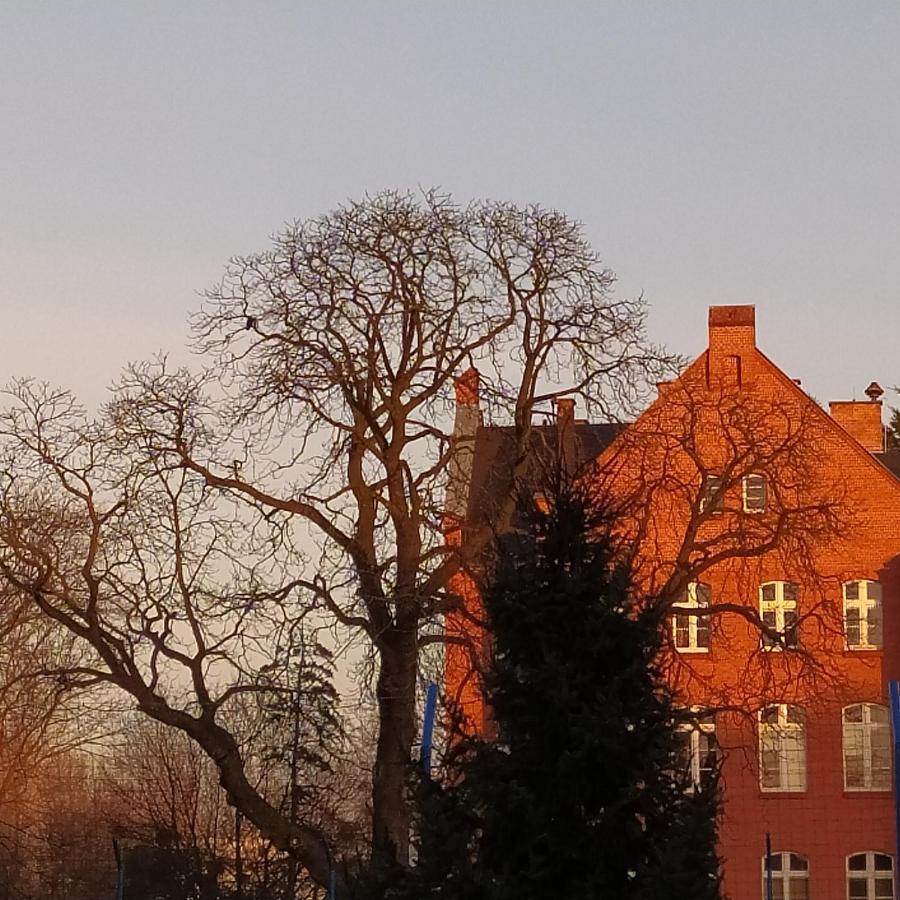 Apartment Dreams Torun